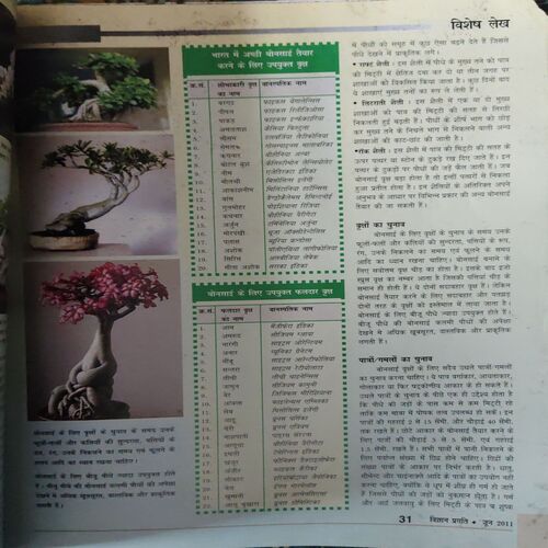 Document 3_29 Vigyan pragati ( June 2011 )