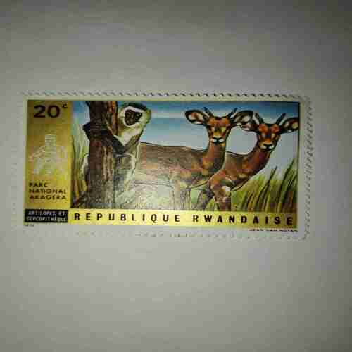 REPUBLIQUE RWANDAISE 20C POSTAGE STAMP 1972 Document 3_35 REPUBLIQUE RWANDAISE 20C POSTAGE STAMP 1972