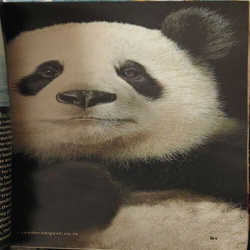 Document 3_36 Reader s Digest ( July 2013 )