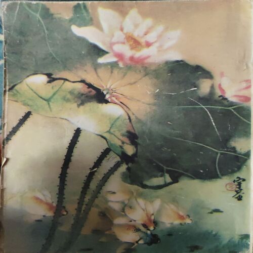 Document 3_48 Reader 's Digest ( March 1981 ) ( coverless )