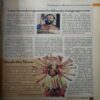 Document 3_56 Organiser ( 22nd January 2017 )