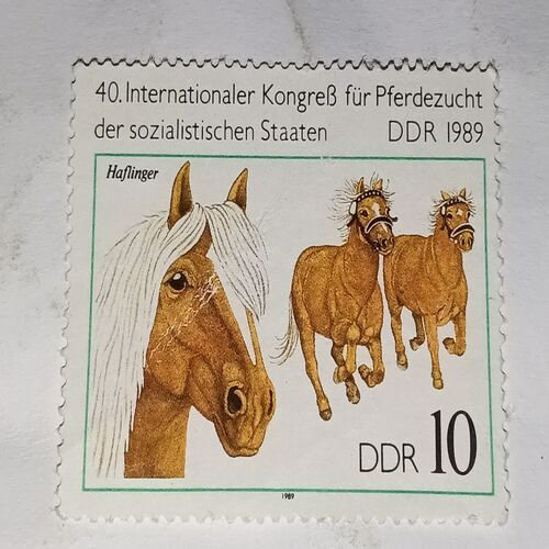 MNH - GERMANY POSTAGE STAMP 10DDR