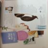 Document 3_59 Good Housekeeping ( October 2008 )