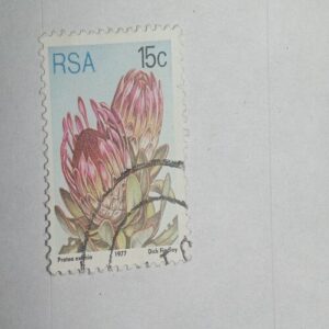 USED - RSA 15C PROTEA EXIMIA 1977 POSTAGE STAMP USED - RSA 15C PROTEA EXIMIA 1977 POSTAGE STAMP