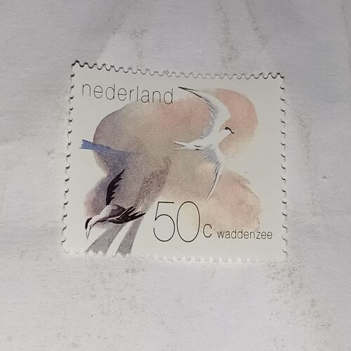 MNH - NEDERLAHD 50C POSTAGE STAMP MNH - NEDERLAHD 50C POSTAGE STAMP