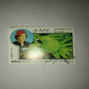 SAHARA OCC. R.A.S.D. 40PTAS POSTAGE , 1991 CORREOS STAMP SAHARA OCC. R.A.S.D. 40PTAS POSTAGE , 1991 CORREOS STAMP