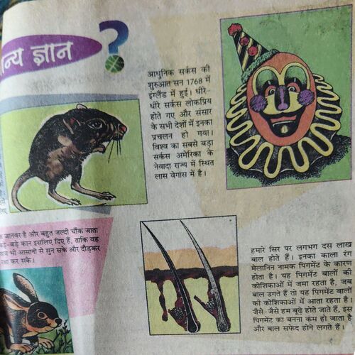 Document 3_81 10 in one Bal Bhaskar ( 11th August 2000 ,8th September 2000 ,22nd September 2000 ( cut on cover ) , 6th october 2000,20th october 2000 ,3rd November 2000 , 14th November 2000 , 1st December 2000 , 15th December 2000 , 29th December 2000 ) )