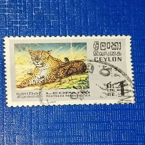 CEYLON POSTAGE STAMP CEYLON POSTAGE STAMP