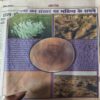 Document 3_87 BalRang ( 28th April 2000 )