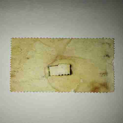 PAKISTAN 20PAISA POSTAGE STAMP PAKISTAN 20PAISA POSTAGE STAMP