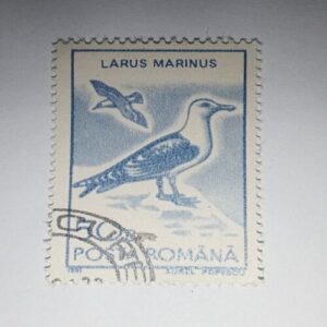 USED - POSTA ROMANA 50B POSTAGE STAMP USED - POSTA ROMANA 50B POSTAGE STAMP