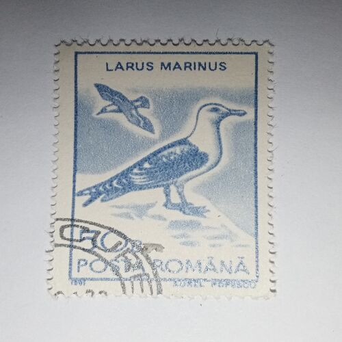 USED - POSTA ROMANA 50B POSTAGE STAMP USED - POSTA ROMANA 50B POSTAGE STAMP