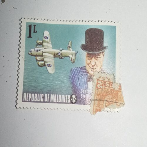 MNH - REPUBLIC OF MALDIVES 1L POSTAGE STAMP MNH - REPUBLIC OF MALDIVES 1L POSTAGE STAMP