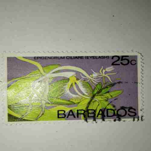 BARBADOS 25C POSTAGE STAMP BARBADOS 25C POSTAGE STAMP