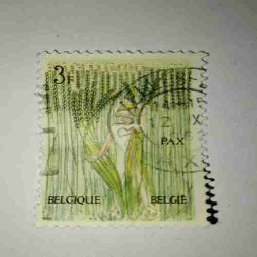 BELGIQUE 3F POSTAGE STAMP
