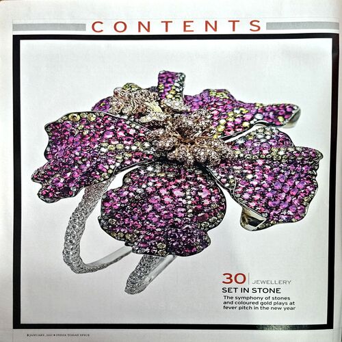 Document 65_2 India Today Spice (Jan 2013)