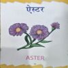 Fulo Ka Sansar