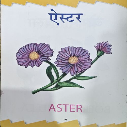 Fulo Ka Sansar