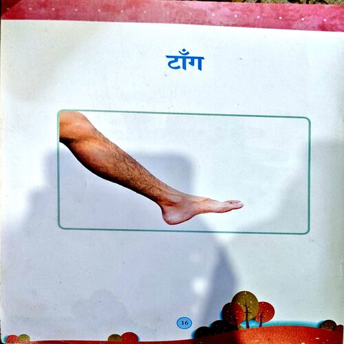 Jaane Sharir Ke Ango Ko