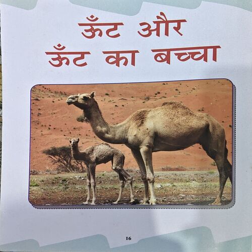Document 66_91 Janwaro Ki Santan