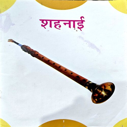 Document 67_126 Vadya Yantro Ka Anokha Sansar