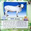 Document 67_142 Mere Desh Ke Pashu