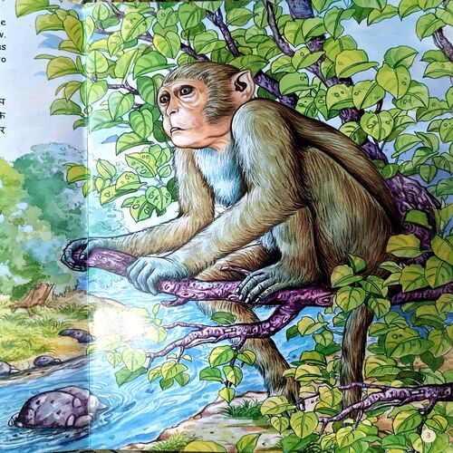 Mr Monkey and Crocodiles (pages 16)