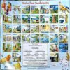 Document 67_88 Sahaj Buddhi Uttam Hai