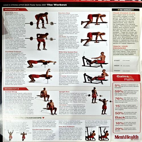 Document 69_166 Build a Strong Upper back