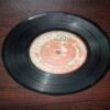 VINYL RECORDS (small) Hindi film : MAIN TULSI TERE , 45 R.P.M VINYL RECORDS (small) Hindi film : MAIN TULSI TERE , 45 R.P.M