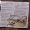 Document_10 Champak ( April 1st 2017 ) Page no-23to38 Missing