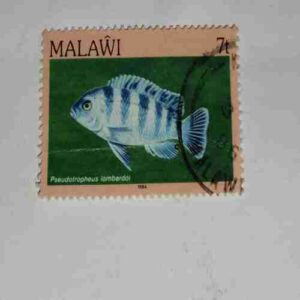 MALAWI 7T POSTAGE STAMP MALAWI 7T POSTAGE STAMP
