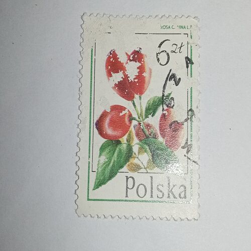 MNH - POLSKA 6T POSTAGE STAMP