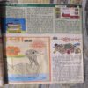 Document_2 Bal Bhaskar ( September 2001 )