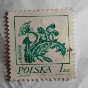 POLSKA POSTAGE STAMP 1z