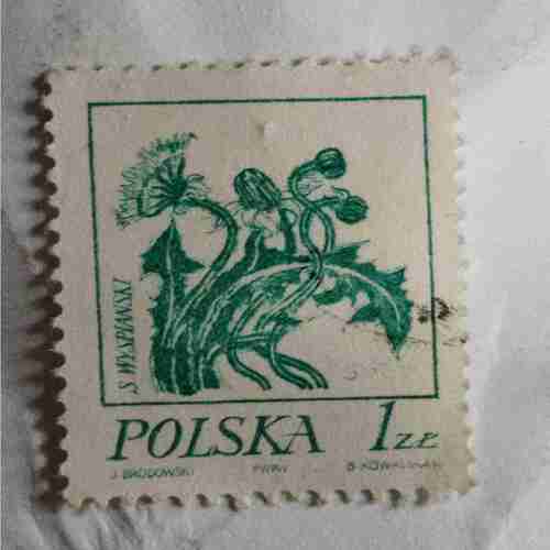 POLSKA POSTAGE STAMP 1z POLSKA POSTAGE STAMP 1z
