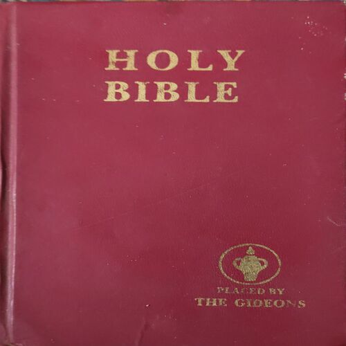Holy Bible ( No. of Pages = 1141 ) Holy Bible ( No. of Pages = 1141 )