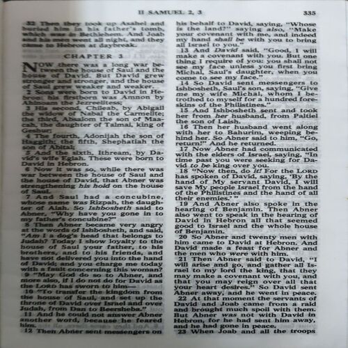 Document_31 Holy Bible ( No. of Pages = 1141 )