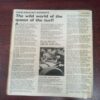 The Sportstar ( April 1984 ) The Sportstar ( April 1984 )