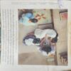 Document_48 Reader s Digest ( March 2001 )