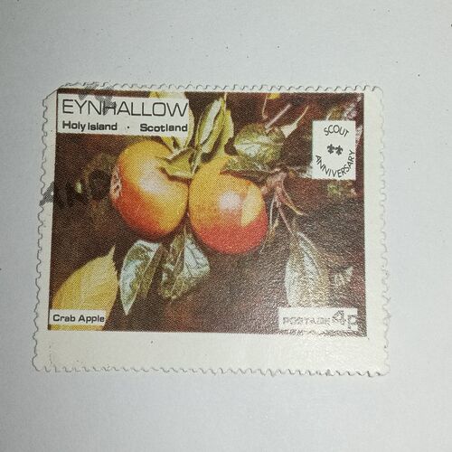 MNH - EYNHALLOW 4P POSTAGE STAMP MNH - EYNHALLOW 4P POSTAGE STAMP