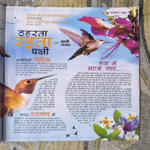 Document_62 Bal Bhaskar ( February 2008 )