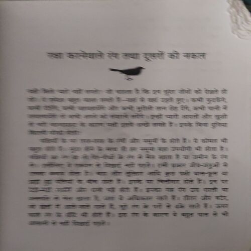 Document_65 Pache Jagat