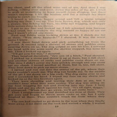 Document_88 A stone for danny fisher ( By = Harold Robbins ) ( No. of Pages = 350 )