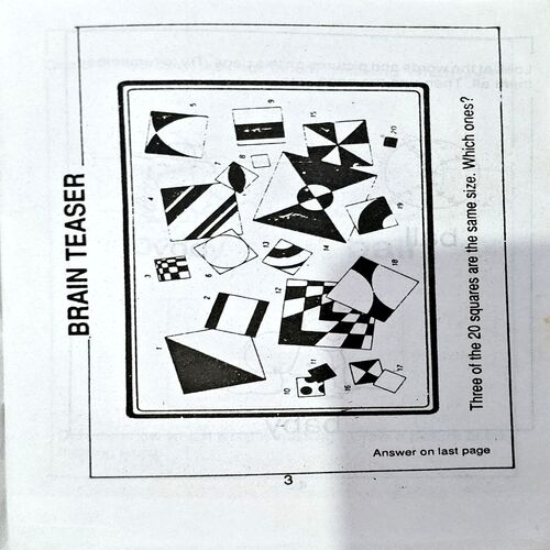 Puzzle Fun 3 (pages 50)