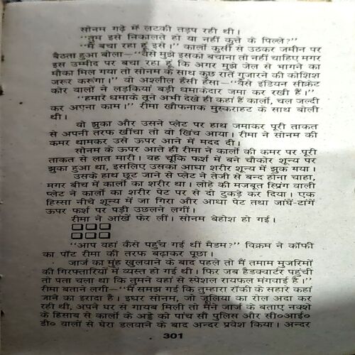 Tera Kafan Mera Itihas (pages 302) (Rima Bharti)