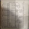 trashed-1792221695-Document 71_15 India West Indies 1974 - 1975 (pages 205) (By Sunder Rajan)