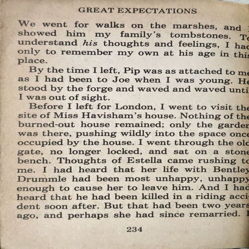 trashed-1792221695-Document 71_31 Great Expectations (Charles Dickens) (pages 234)