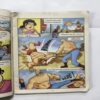 Document 10_17 Chacha Chaudhary And Jibrano