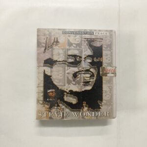 Stevie Wonder